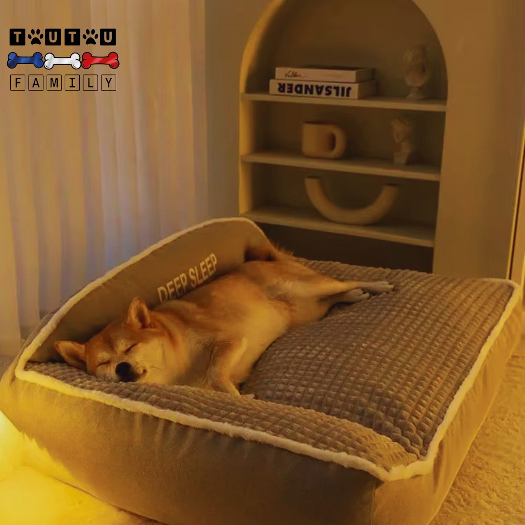 Lit-orthopédique-chien-matelas-a-mémoire-de-forme-déhoussable-un-shiba-inu-qui-dort-confortablement-niché-dans-le-traversin-en-L-du-lit-couché-de-tout-son-long-pour-un-sommeil-réparateur