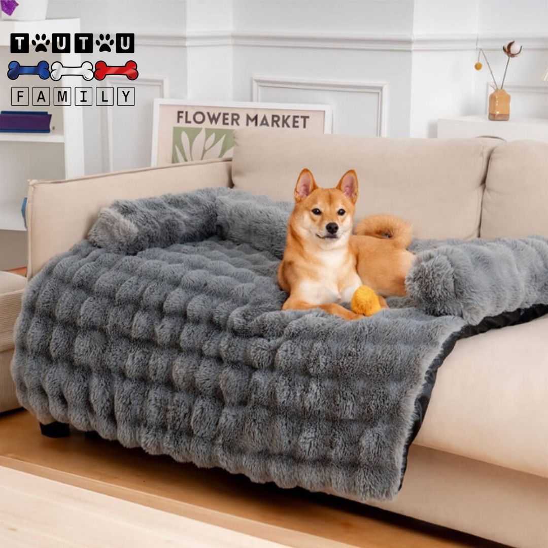 Lit-pour-chien-protege-canape-avec-traversin-un-chien-de-taille-moyenne-couché-sur-le-lit-ultra-doux-posé-sur-e-canapé-en-cuir-du-salon-couchage-résistant-au-griffes-protÚge-de-la-saleté-des-pattes-et-des-poils-de-chien