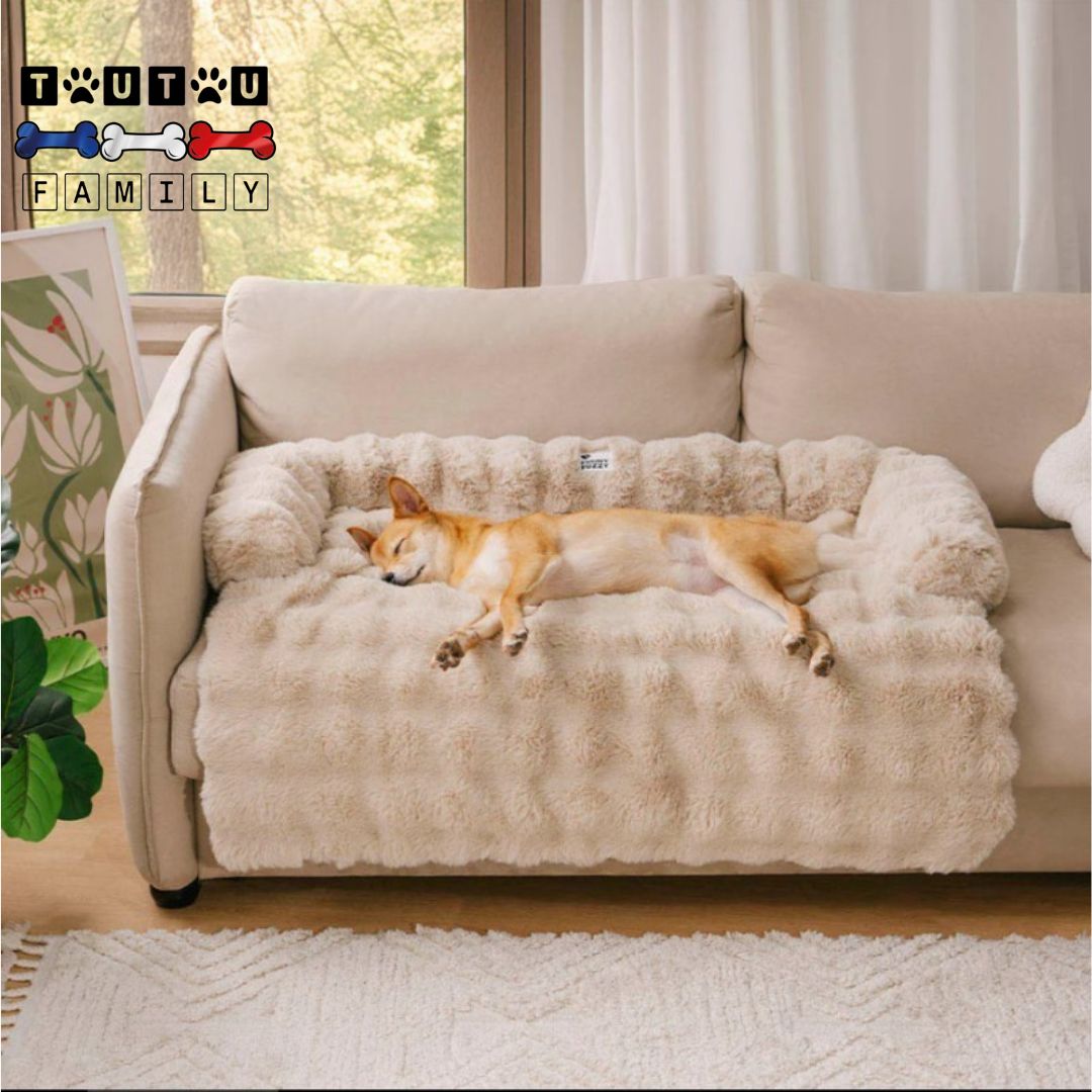 Lit-pour-chien-protégé-canapé-antidérapant-un-chien-allongé-confortablement-sur-le-lit-ultra-doux-de-couleur-beige-sur-le-canapé-2-place-du-salon