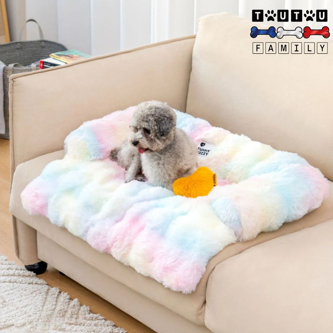 Lit-pour-chien-protÚge-canapé-avec-rebord-un-caniche-couché-su-le-lit-avec-traversin-en-U-100%-coton-PP-lavable-en-machine-antidérapant-posé-sur-le-fauteuil-du-salon
