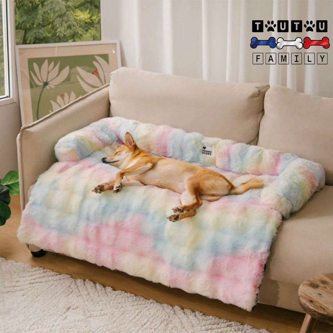 Lit-pour-chien-protege-canape-en-peluche-avec-rebord-pour-le-sol-le-canapé-panier-cage(de(transport-coffre-de-voiture-léger-et-pliable-lavable-en-machine-un-chien-de-taille-moyenne-couché-sur-son-lit-souple-et-antidérapant-de-couleur-arc-en-ciel