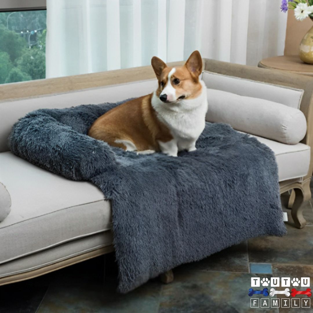 lit-pour-chien-transportable-protÚge-canapé