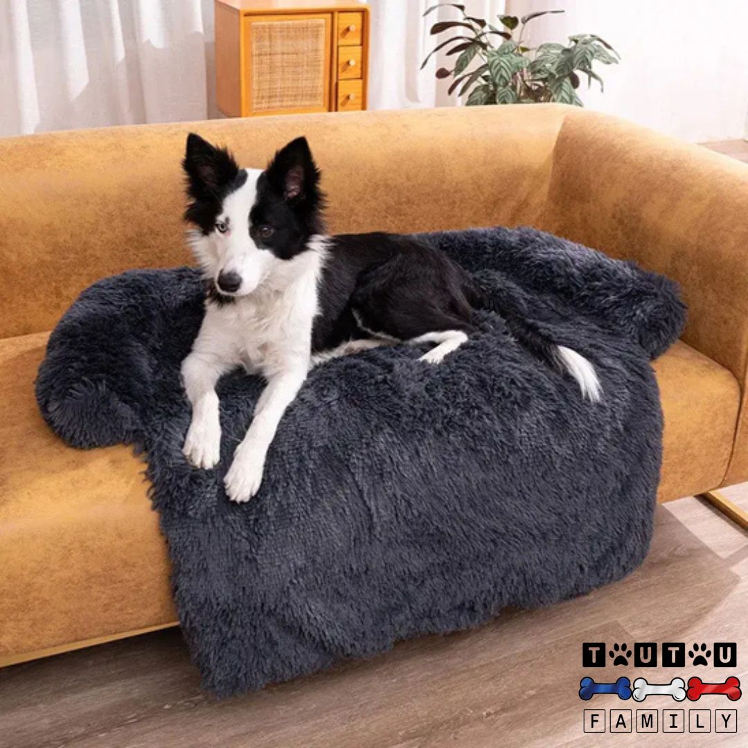 lit-pour-chien-dehoussable-un-chien-de-taille-moyenne-couché-sur-son-lit-en-peluche-douce-posé-sur-le-canapé