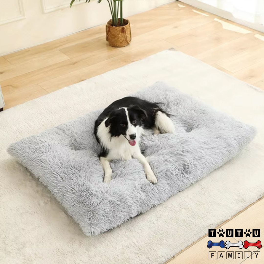 Lit-pour-chien-coussin-chien-rectangulaire-un-grand-chien-couché-sur-son-lit-xl-pour-chien-de-couleur-grise-antidérapant-et-lavable-en-machine-tapis-moelleux