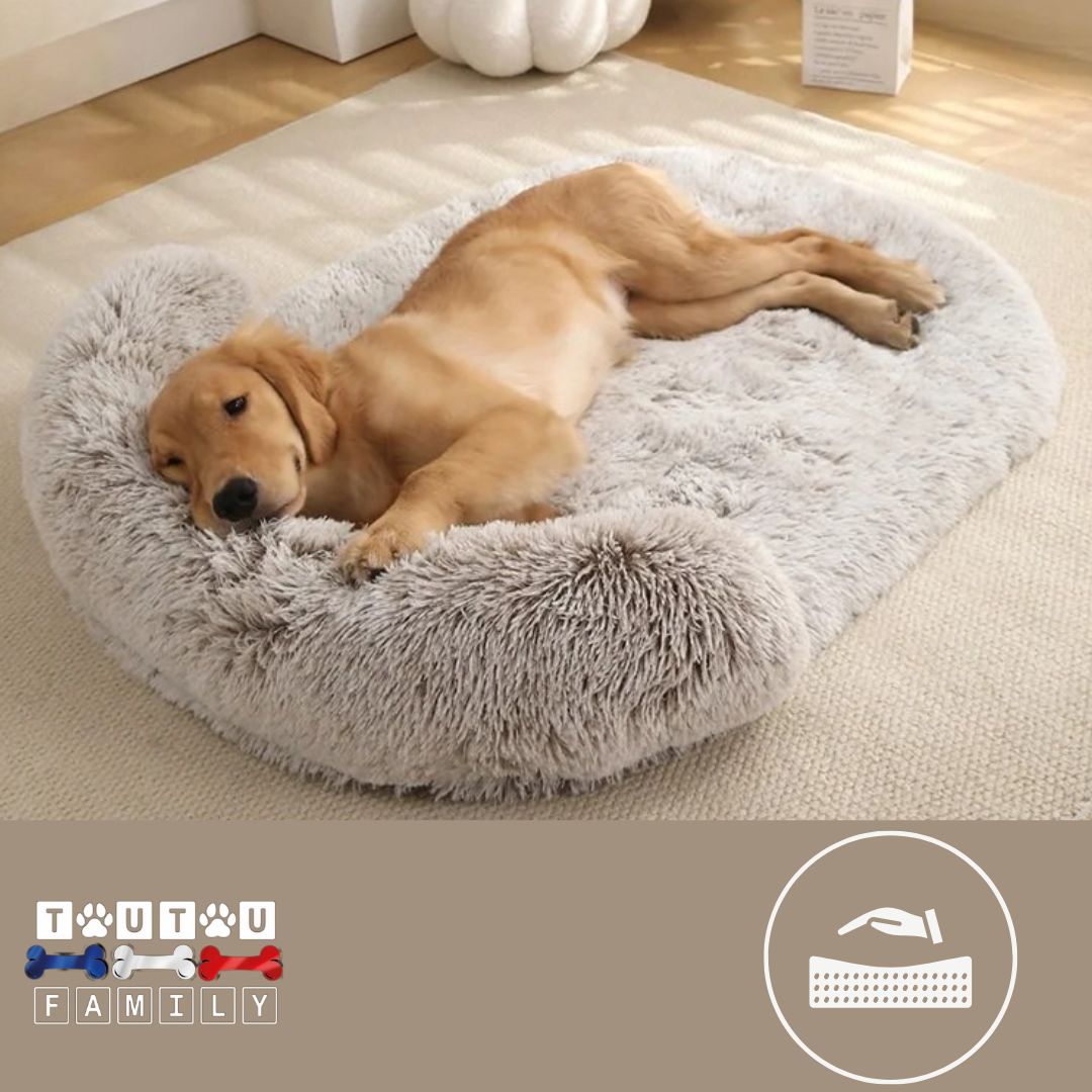 Lit-pour-chien-matelas-orthopédique-un-chien-qui-dort-paisiblement-la-tête-niché-dans-le-traversin-du-lit-au-matelas-à-mémoire-de-forme-déhoussable-et-lavable