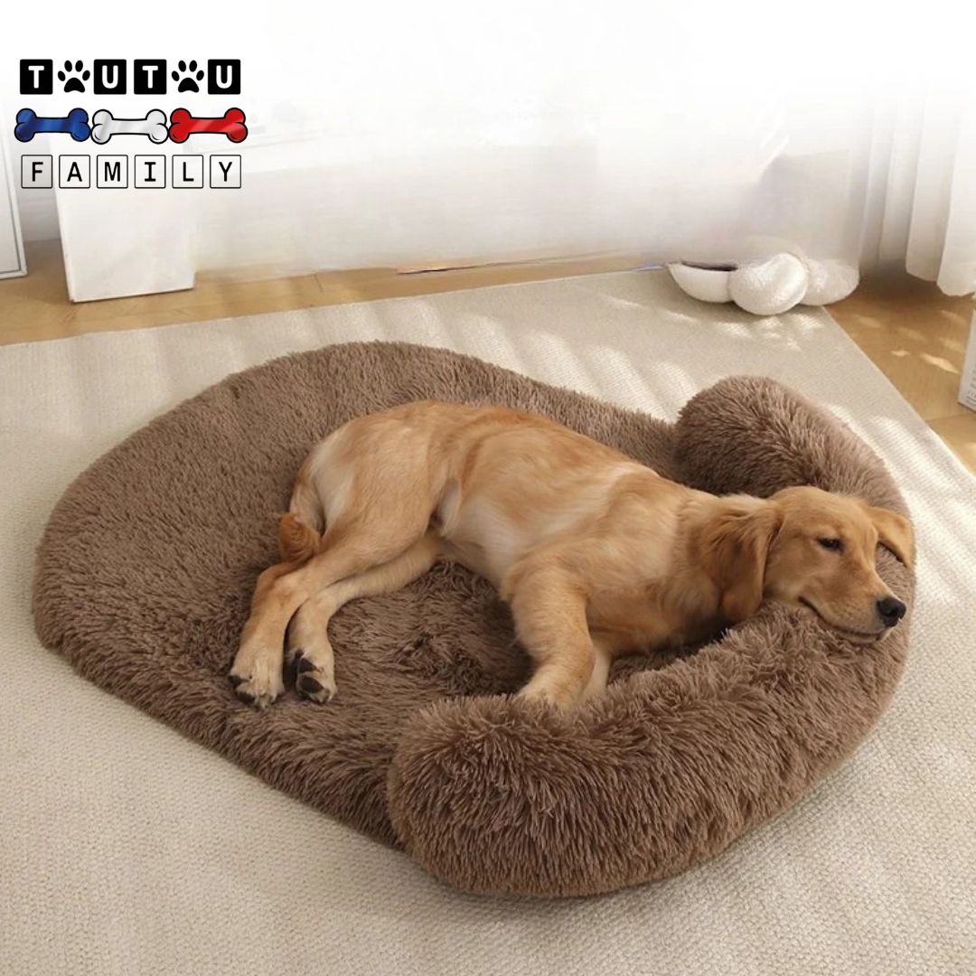 Lit-pour-chien-apaisant-avec-traversin-déhoussable-et-lavable-un-golden-couché qui-le-flanc-la-tête-reposant-sur-le-traversin-rembourré -100%-coton