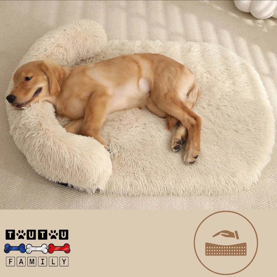 Lit-pour-chien-matelas-orthopédique-couleur-claire-un-chien-couché-en-boule-la-tête-reposant-sur-le-traversin-du-lit-en-coton