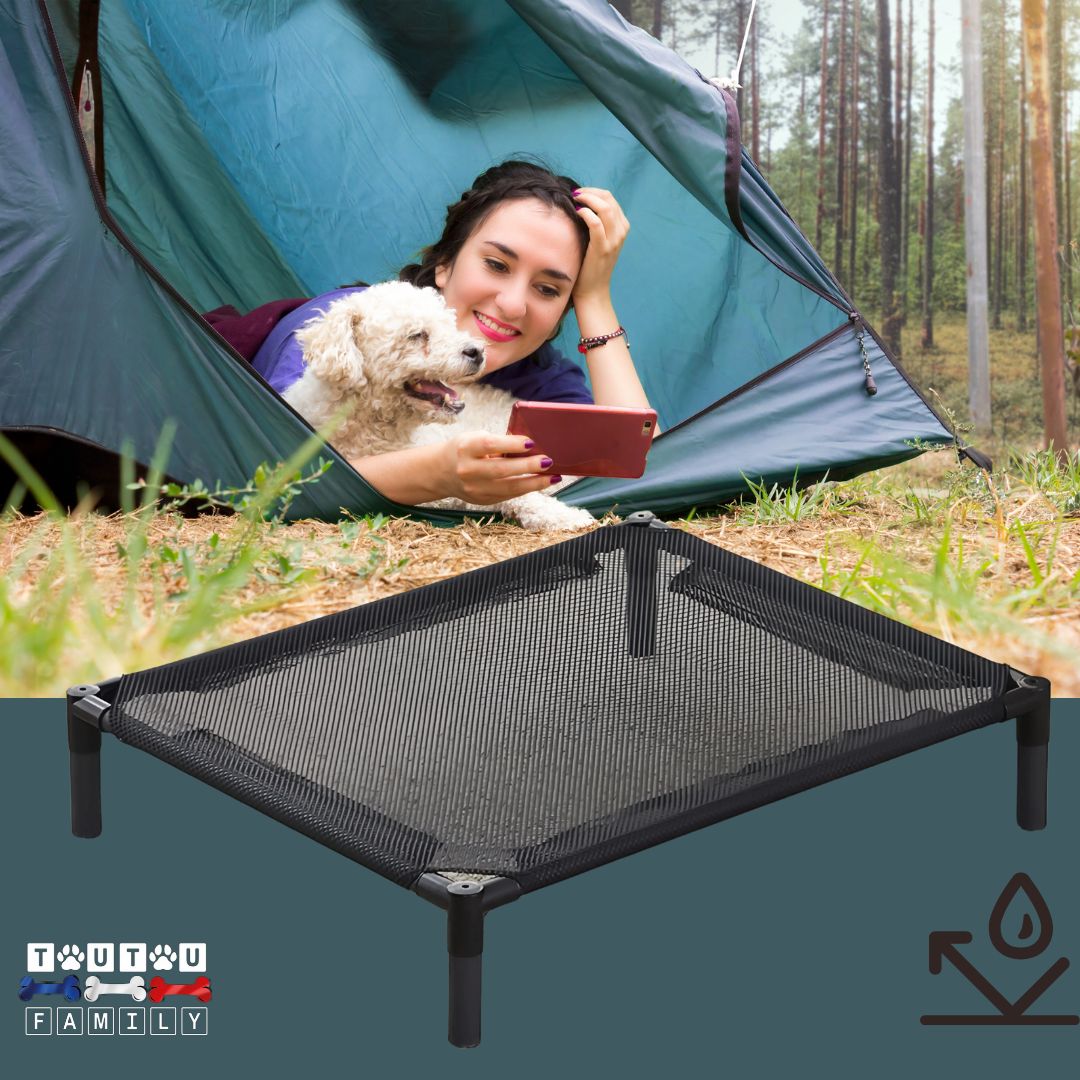 Lit-pour-chien-surélevé-nylon-lit-camping-maison-lit-de-camp-pour-chien-résistant-léger-démontable-pliable-transportable