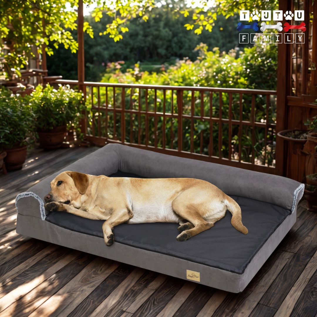 Lit-pour-chien-xxl-avec-traversin-en-déhoussable-lavable-imperméable-un-grand-chien-qui-dort-allongé-sur-son-lit-à-matelas-orthopédique-saur-sa-terrasse-avec-sa-face-été-respirante