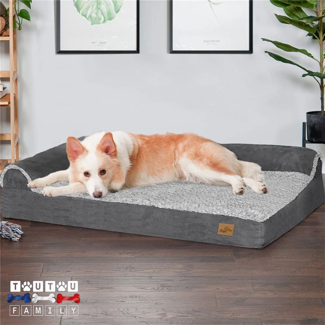 Lit-pour-chien-xxl-orthopédique-un-chien-de-moyenne-taille-qui-profite-de-l-espace-de-ce-grand-lit-avec-2-traversin-lit-avec-rebord-imperméable-et-déhoussable-lavable-en-machine