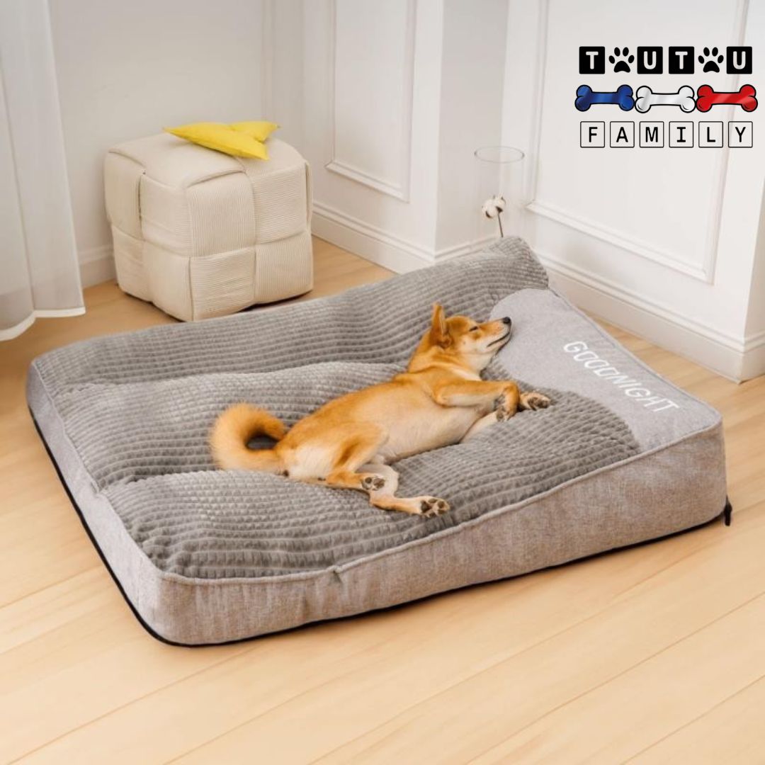Lit-pour-chien-dehoussable-lavable-avec-rebord-surĂ©levĂ©-un-chien-qui-dort-sur-le-lit-doux-et-confortable-en-reposant-sa-tĂȘte-sur-l-un-des-rebords-surĂ©levĂ©s-un-repose-cou-ergonomique