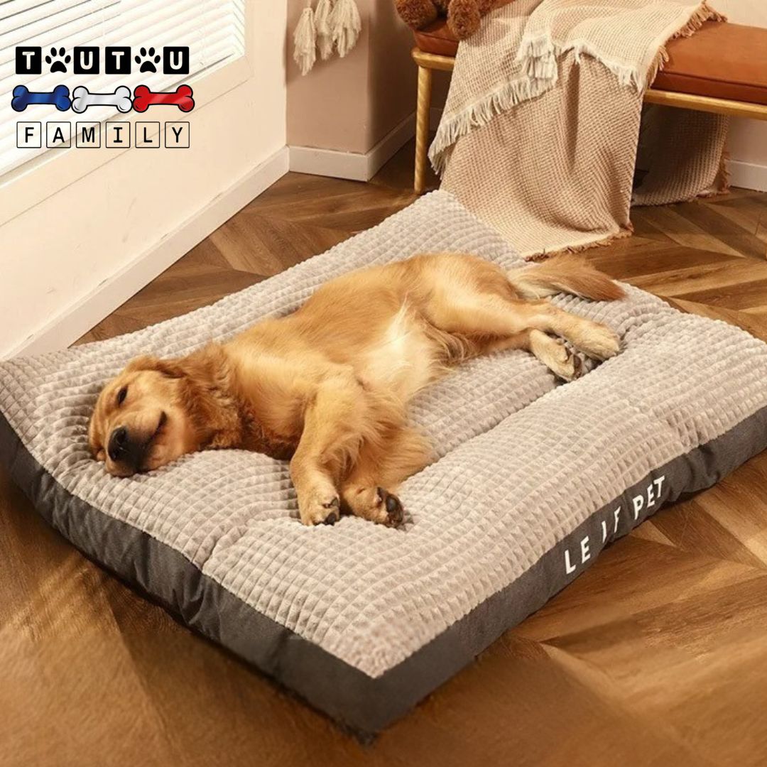 Lit-pour-chien-déhoussable-durable-un-grand-chien-qui-dort-couché-sur-le-flanc-sur-son-matelas-moelleux-et-rembourré-100%-coton-PP-protÚge-le-sol-en-parquet-et-isole-du-froid-housse-résistante-au-griffe
