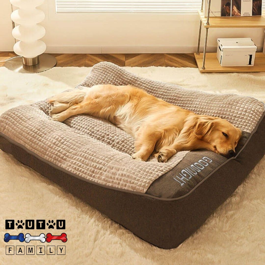 Lit-pour-chien-epais-coussin-rembourrage-100%-coton-un-grand-chien-couchĂ©-sur-le-flanc-sa-tĂȘte-reposant-sur-le-rebord-surĂ©levĂ©-et-entourant-anti-anxiĂ©tĂ©