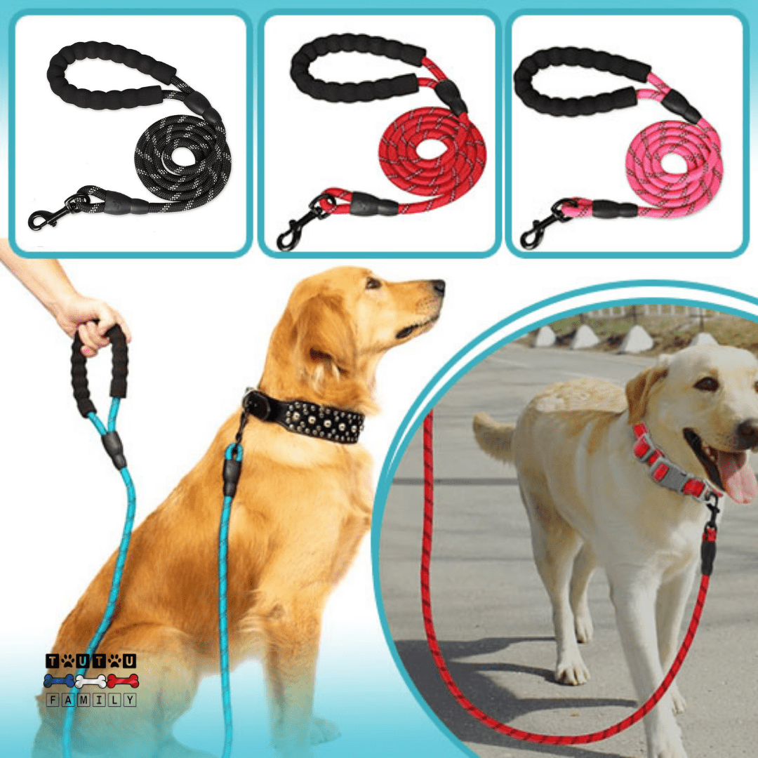 Longue laisse pour chien - LaisseToutou™