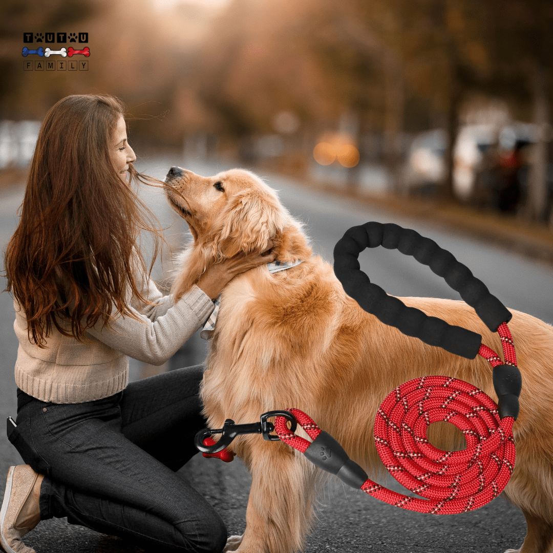 Longue laisse pour chien - LaisseToutou™