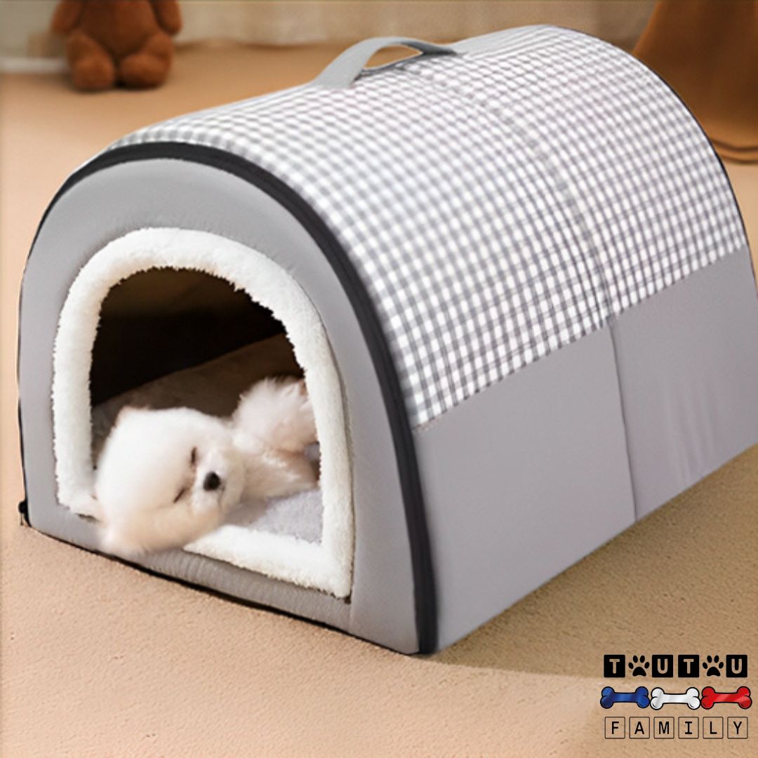 niche-chien-interieur-igloo-et-chiot-un-conton-de-tuléar-couché-qui-dort-dans-sa-niche-interieur