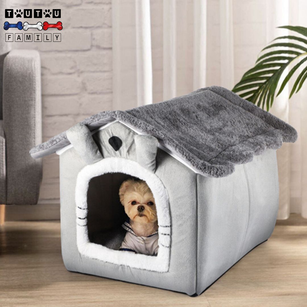 niche-chien-interieur-de-couleur-grise-100%coton-un-york-assis-confortablement-dans-sa-niche-en-regardant-à-l-exterieur