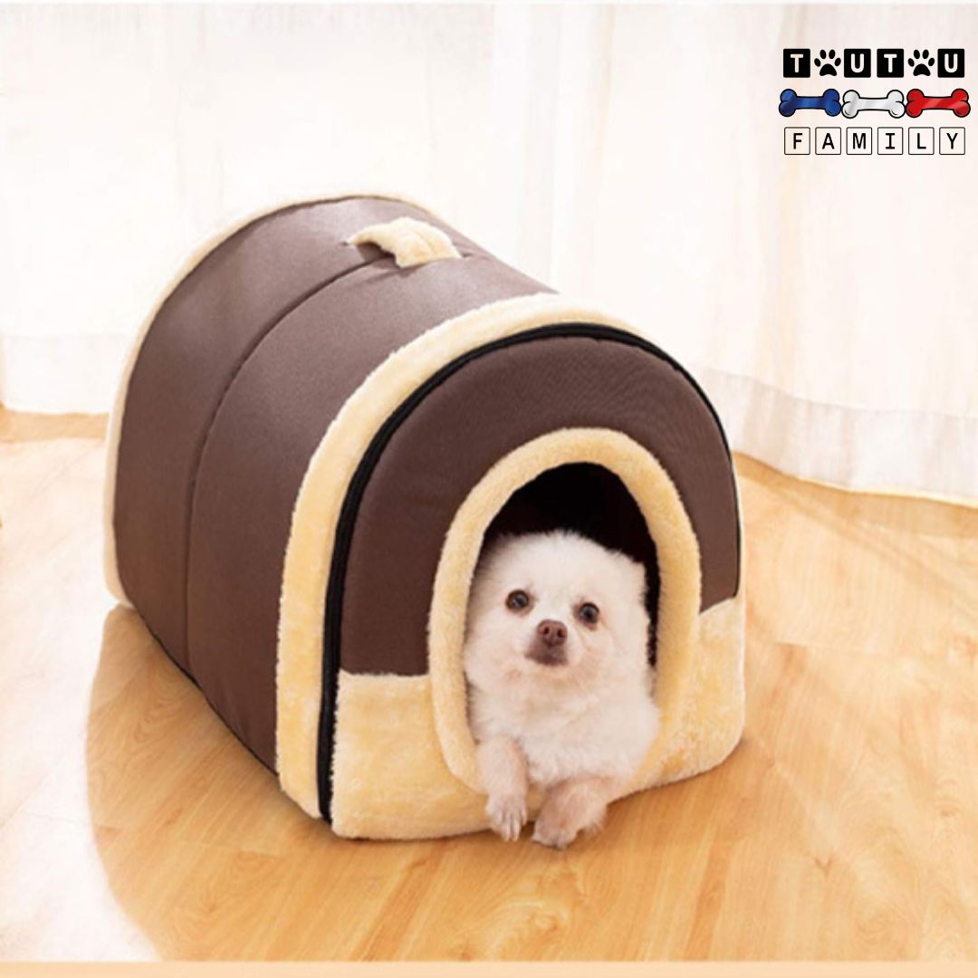 Niche-chien-interieur-pour-petit-chien-un-chien-de-race-naine-couché-confortablement-dans-sa-niche-avec-ouverture-devant-qui-observe-en-sécurité-dans-un-lit-chaud-douillet-lavable-avec-des-ouvertures-des-deux-cÎtés-couchage-4-saisons