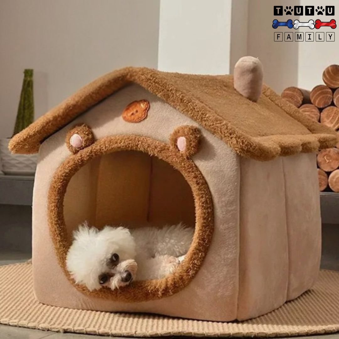 niche-chien-interieur-ours-lavable-en-machine-un-caniche-toy-tout-mignon-couché-dans-sa-niche-avec-la-tête-dehors-pour-regarder-à-l-extérieur
