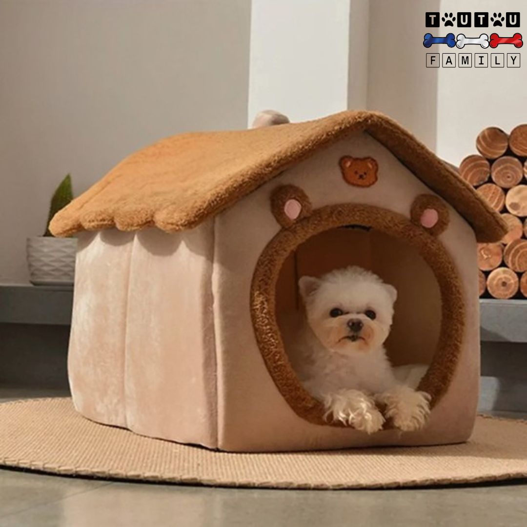 niche-chien-interieur-ours-polaire-coton-unchiot-oton-de-tuléar-couché-dans-sa-niche-confortablement-sur-le-coussin-interieur-qui-regarde-son-environnement-au-chaud