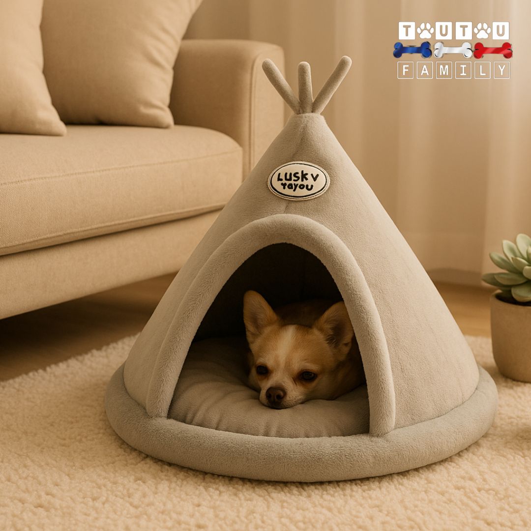 niche-d-intérieur-pour-chien-avec-oreiller-un-chihuahua-couché-dans-sa-niche-au-chaud-de-couleur-gris-en-forme-de-tipi-la-tête-posé-sur-le-coussin-intérieur-100%-coton-lavable-en-machine-et-antidérapant