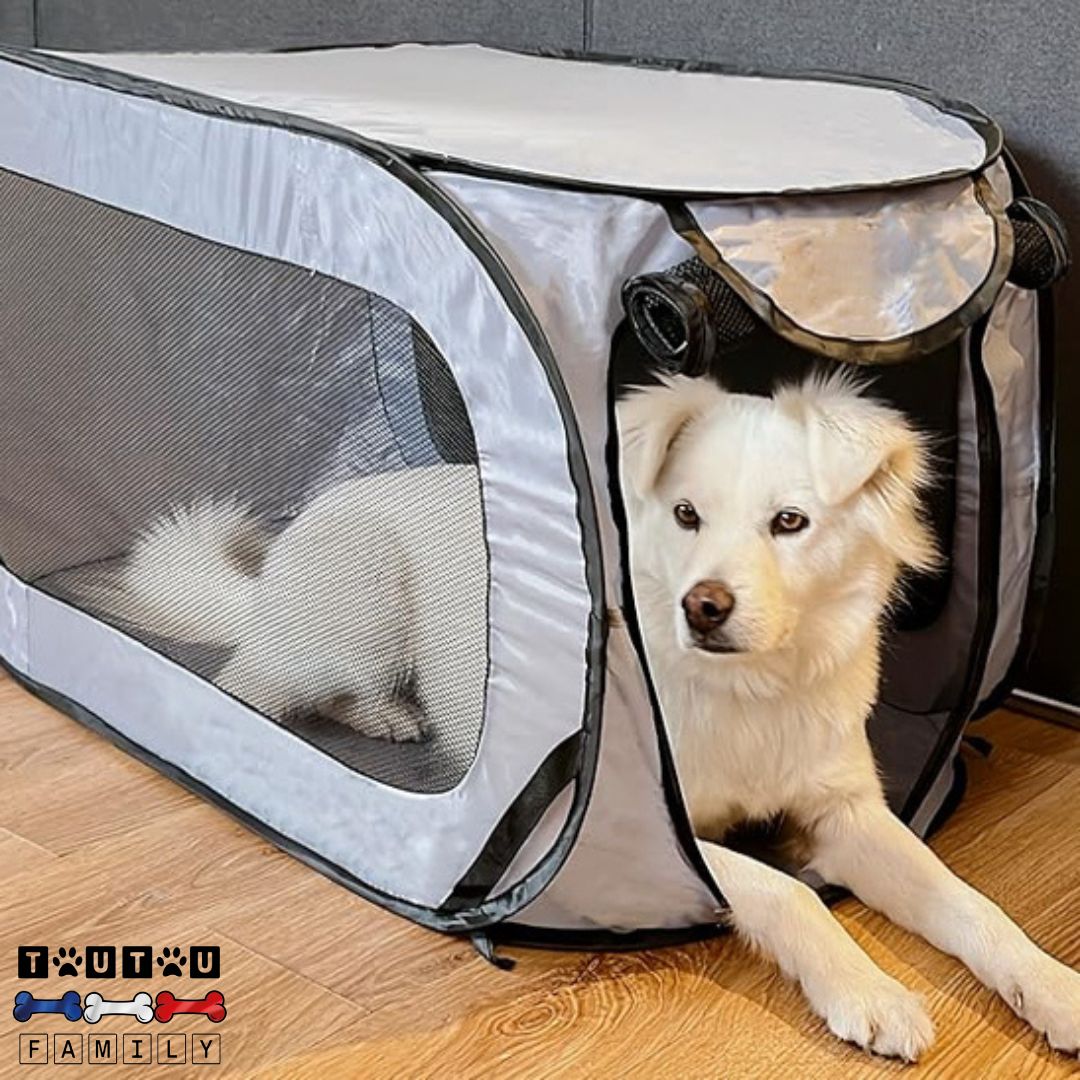 Niche pour chien pliable - NomadeToutouâą