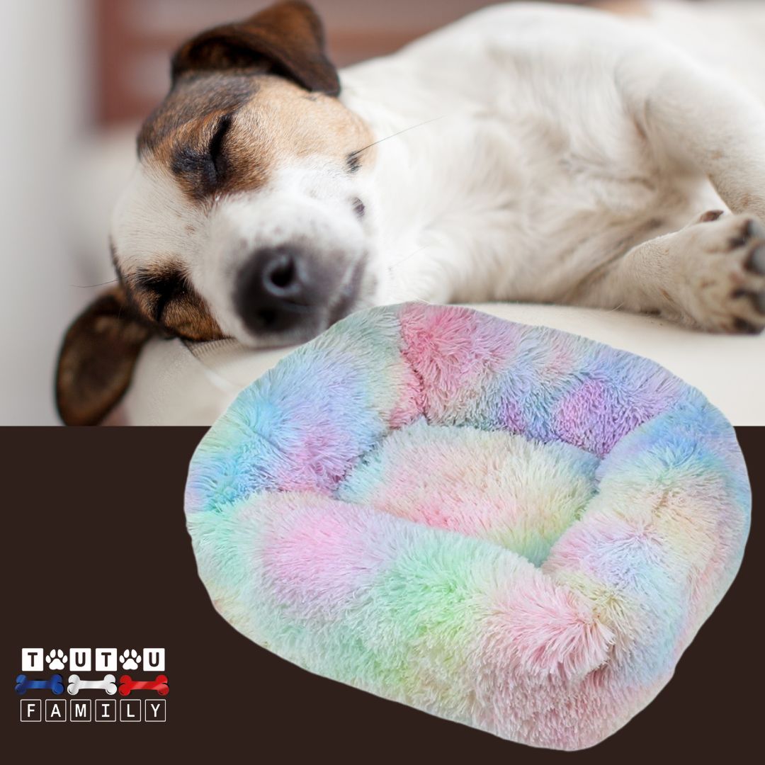 panier-anti-stress-chien-arc-en-ciel-un-petit-chien-qui-dort-paisiblement