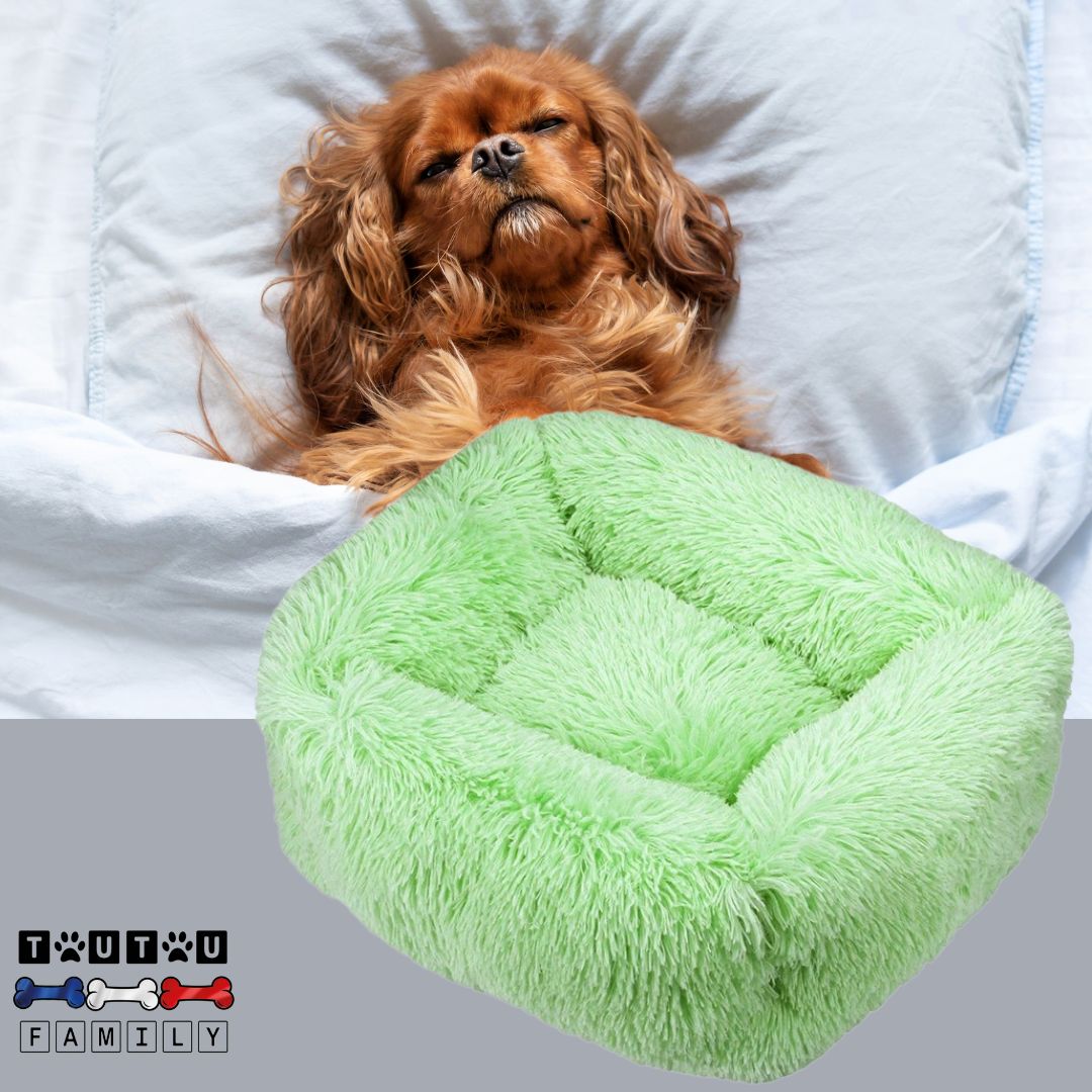 panier-anti-stress-chien-vert-un-cavalier-king-Charles-qui-dort-paisiblement-dans-son-cocon-bien-être