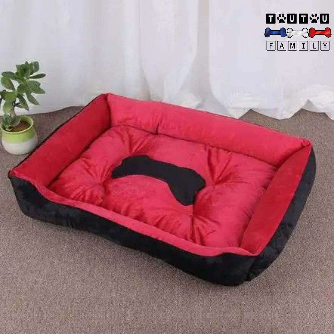 Panier chien design - ChicToutou™