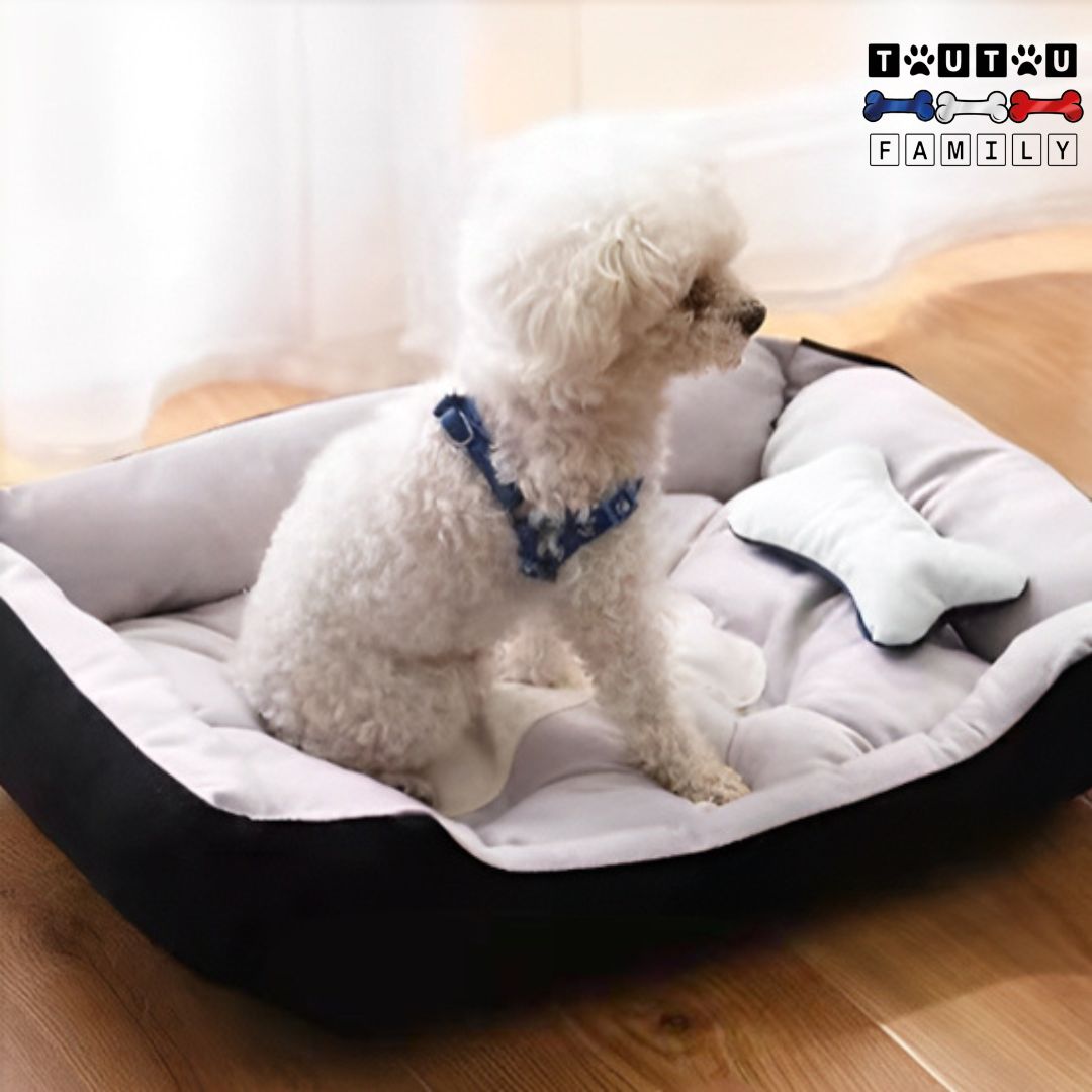 Panier-chien-design-avec-rebord-un-caniche-toy-assis-dans-son-panier-design-gris-et-noir