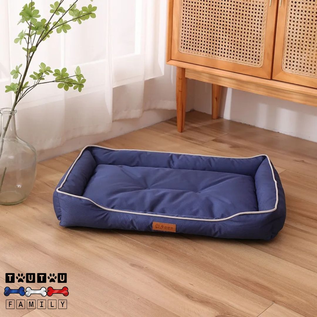 panier-chien-imperméable-bleu