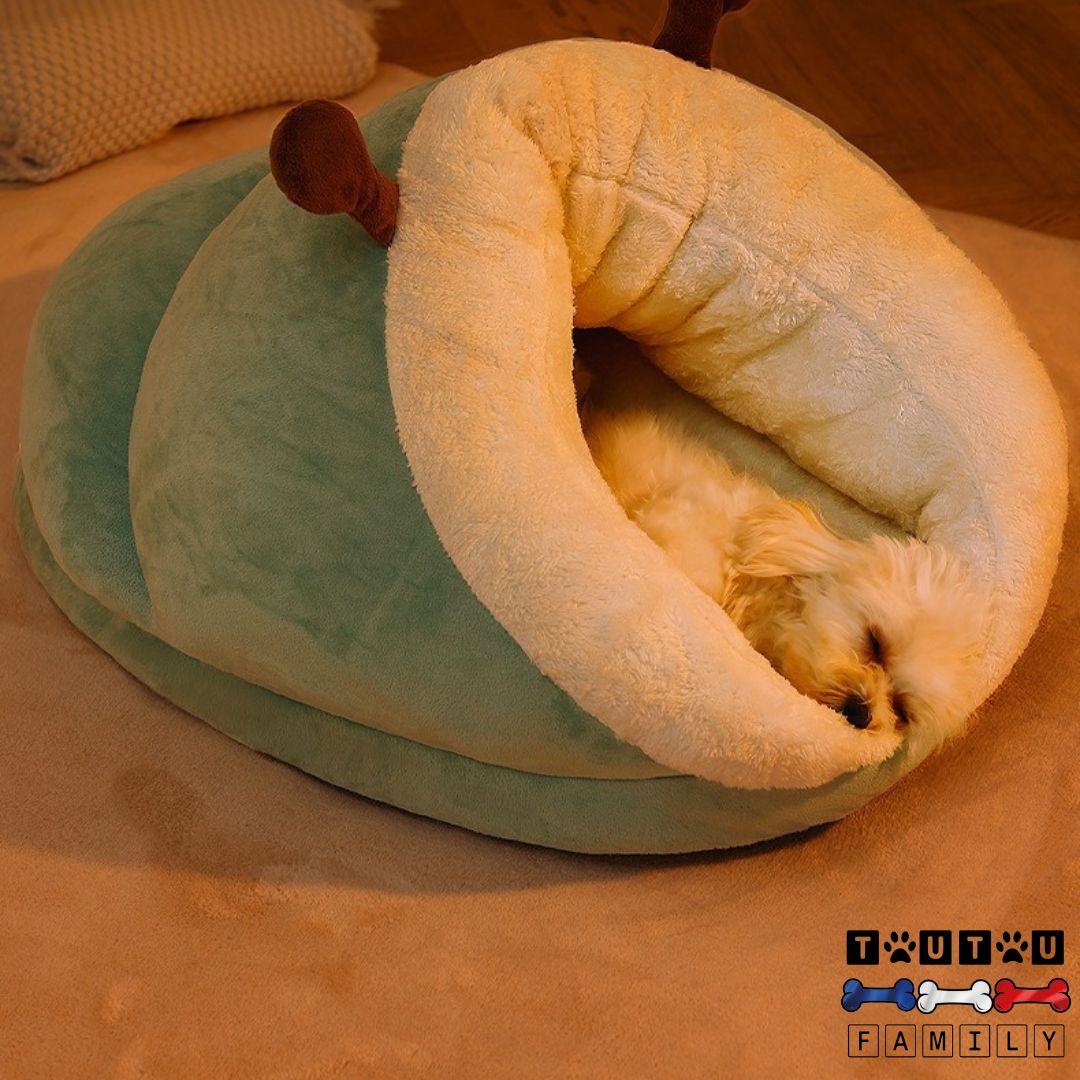 Panier-chien-lavable-anti-stress-un-petit-chien-couché-et-niché-dans-son-panier-design-chausson-en-coton-surface-velours-chaud-et-confortable-pour--hiver-pour-les-petits-chiens