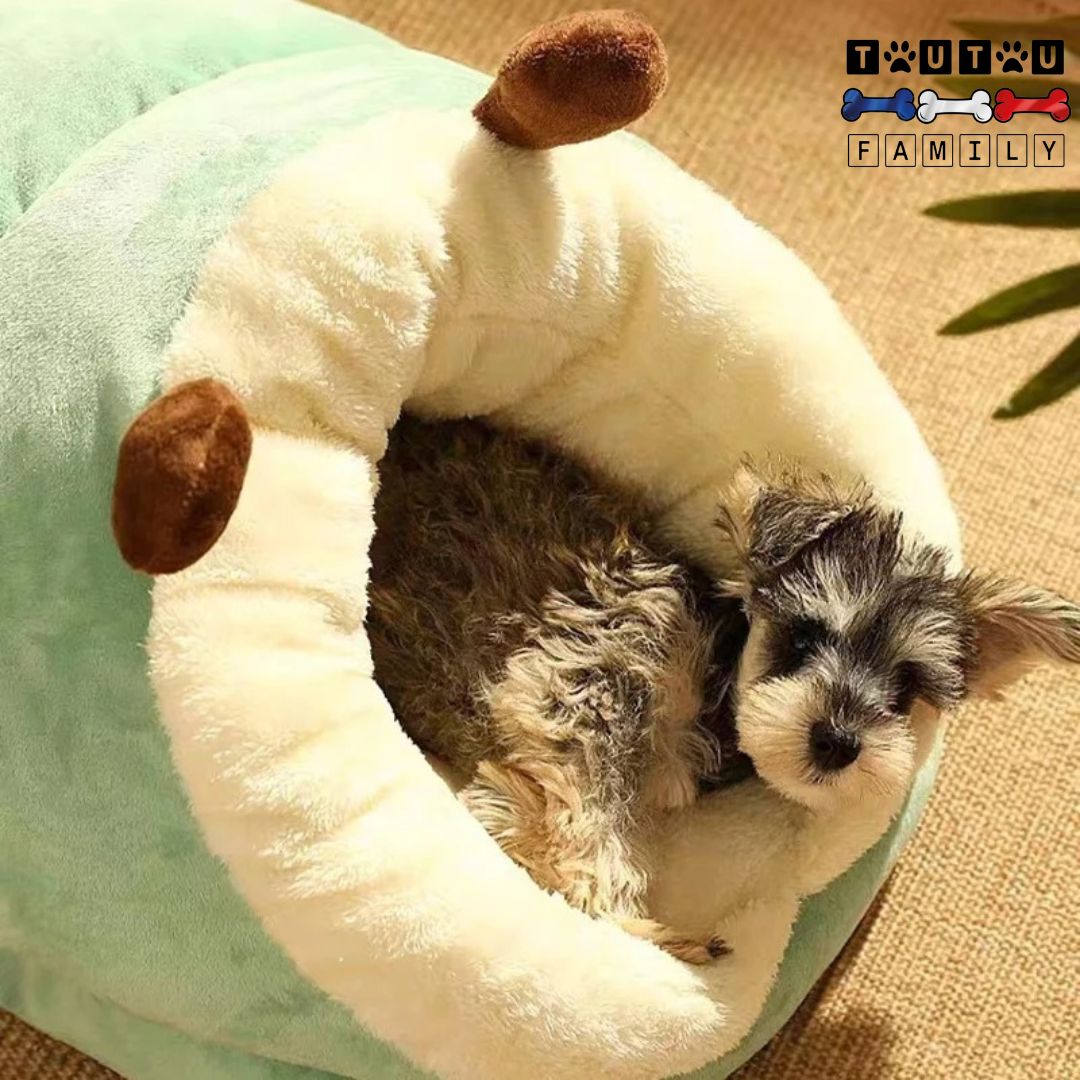 Panier-chien-lavable-race-naine-un-chiot-allongé-confortablement-dans-son-nid-douillet-chaud-et-épais-100%-coton-surface-velours-transportable-léger-lavable-en-machine-à-laver-anitdérapant