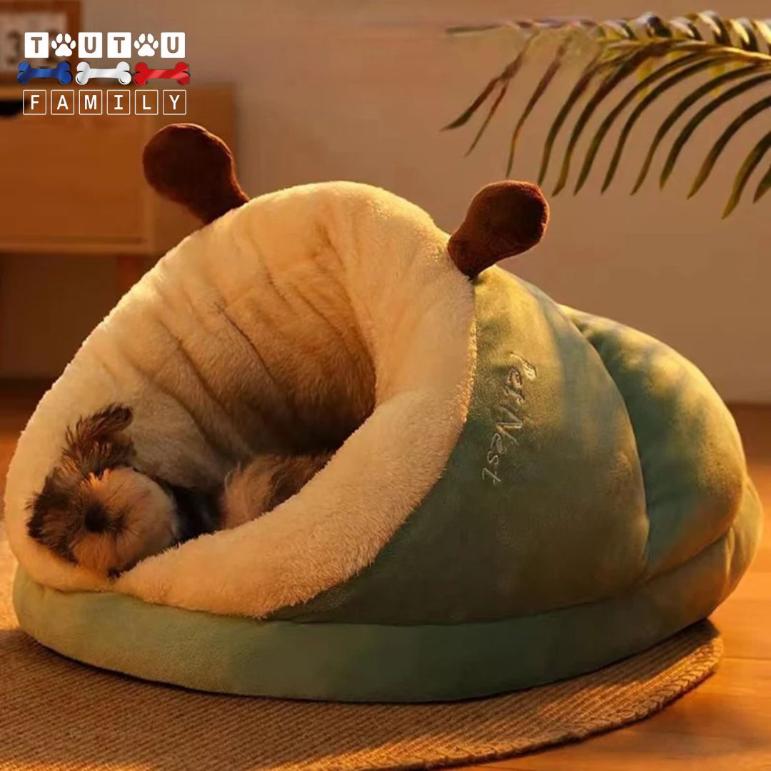 Panier-chien-lavable-petit-chien-un-petit-York-qui-dort-paisiblement-sur-le-flanc-à-l-intérieur-de-son-panier-design-escargot-en-forme-de-niche-chaude-pour-l-hiver-hypoallergénique-100%-coton-lavable-en-machine