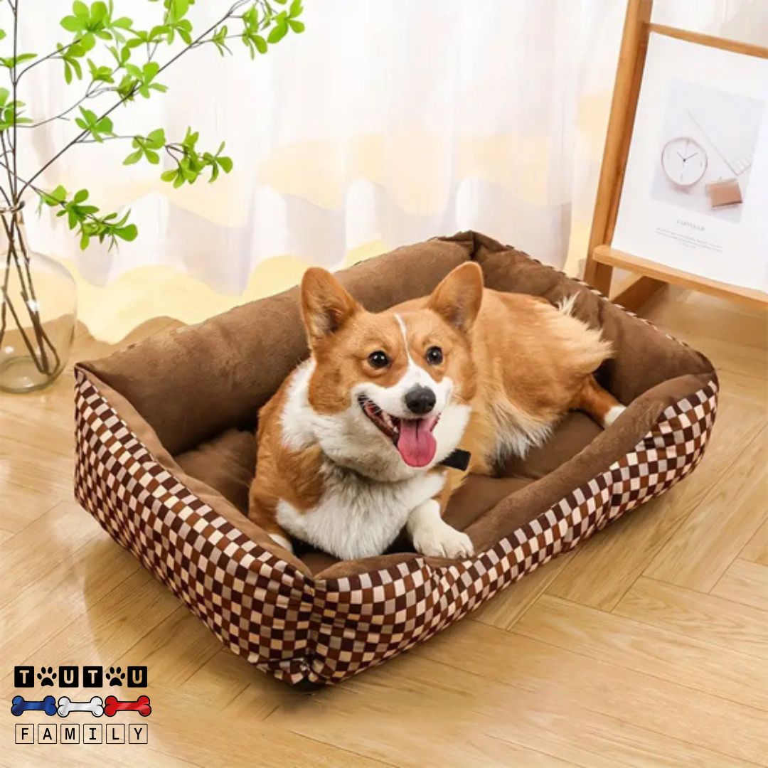 panier-chien-velours-un-chien-de-taille-moyenne-blotti-dans-son-panier-en-velours-doux-de-couleur-marron-avec-des-imprimé-à -carreaux