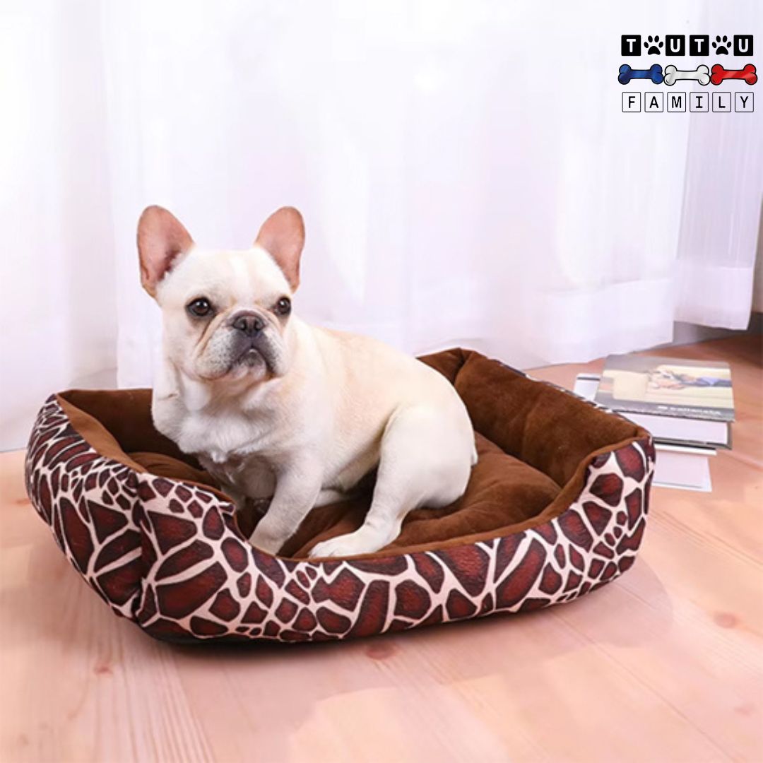 panier-chien-avec-coussin-imprimé-motif-girafe-un-bouledogue-français-confortablement-assis-dans-son-panier-tout-moelleux