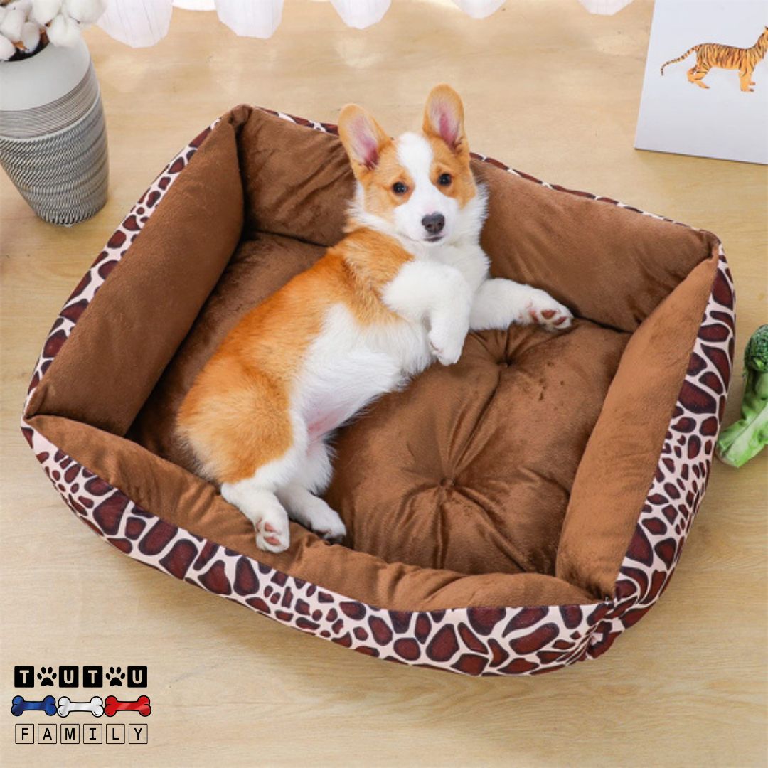 panier-chien-avec-coussin-un-chien-de-taille-moyenne-couché-sur-le-flanc-dans-son-panier-spacieux-et-tout-doux-résistant-aux-griffes-et-aux-morsures