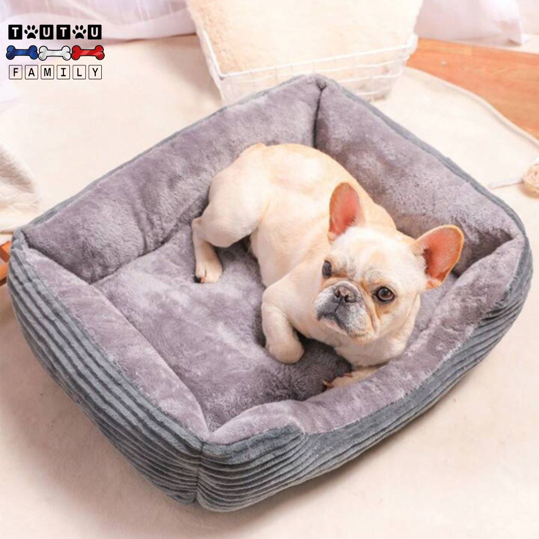 panier-chien-rectangulaire-un-chien-blanc-couché-dans-son-panier-imperméable-et-doux-en-velours-et-solide-avec-son-tissu-oxford