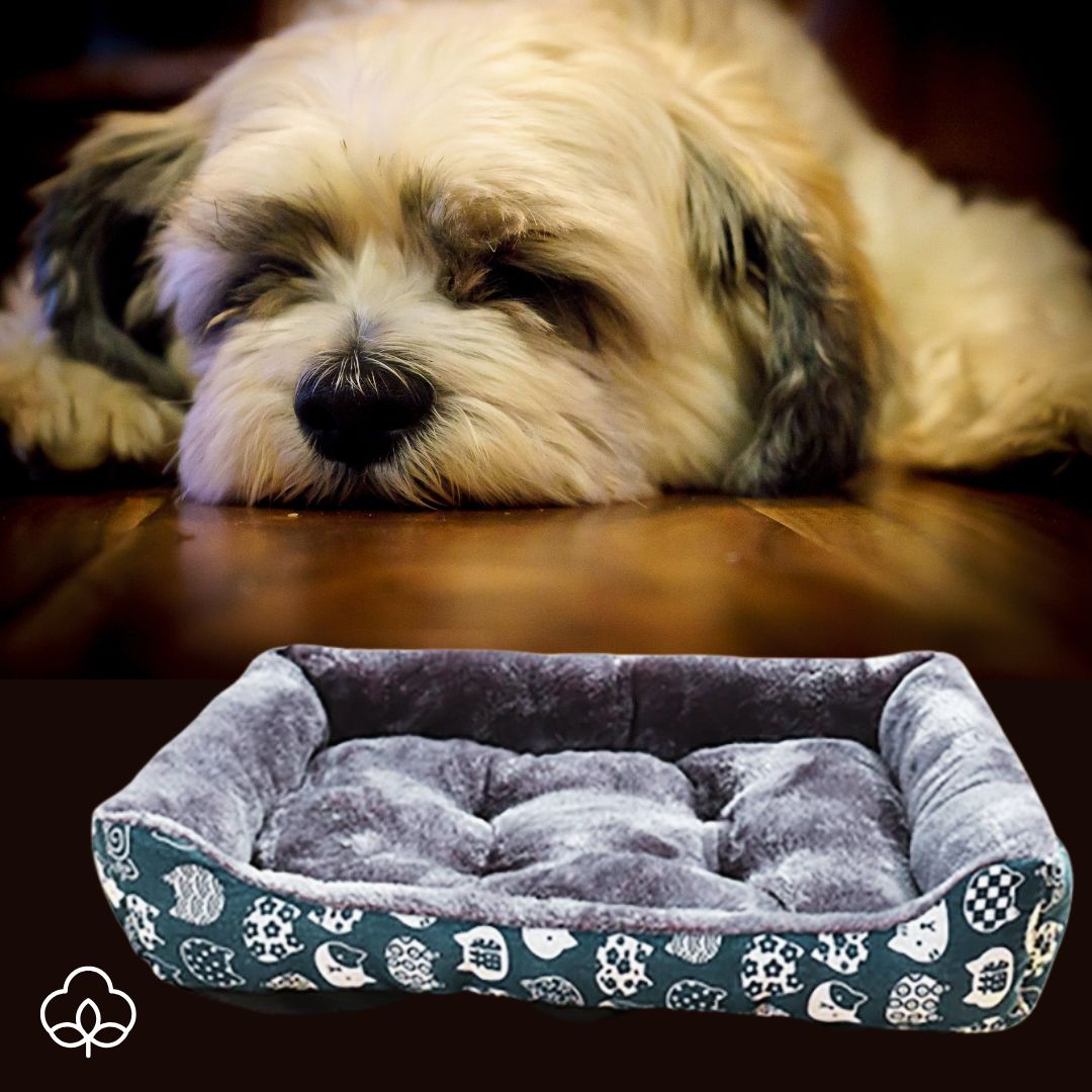 Panier-chien-imprime-chiot-bleu-pour-chien-de-petite-à-moyenne-taille
