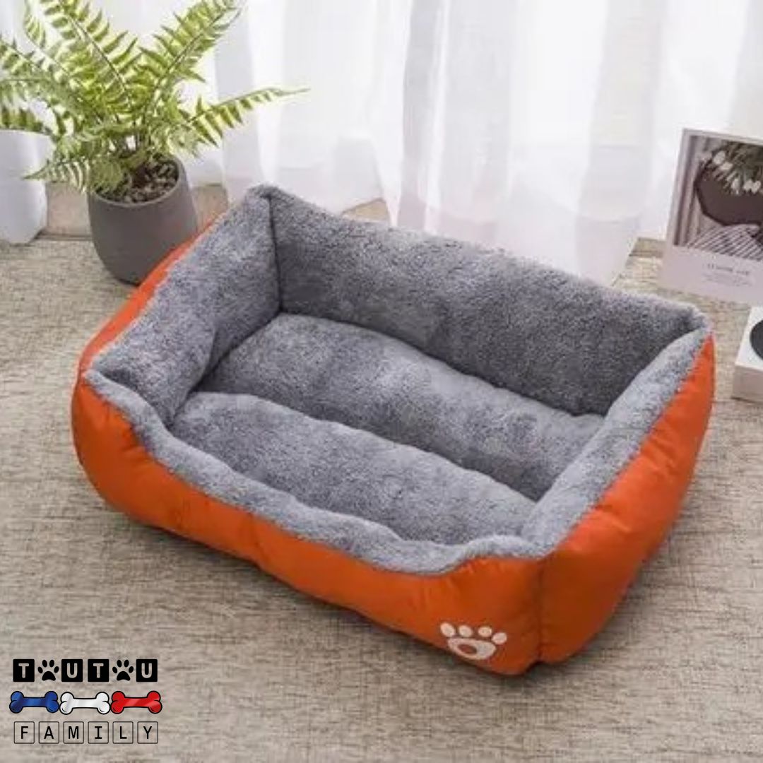 Panier chien - RêveToutou™