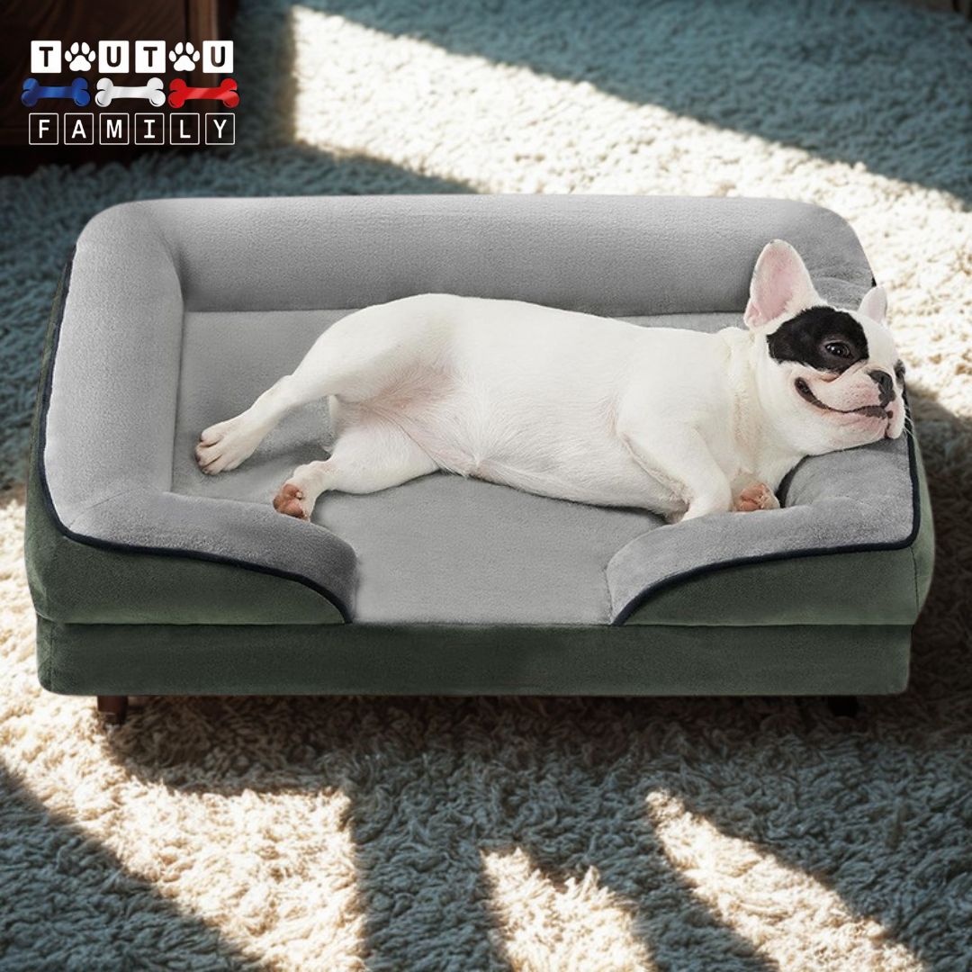 Panier-orthopédique-chien-déhoussable-un-bouledogue-français-couché-sur-le-flanc-dans-son-panier-ergonomique-100%-coton-haute-densité-hypoallergénique-matériaux-naturel-avec-rebord-surélevé-ou-il-repose-sa-tête-tout-détendu
