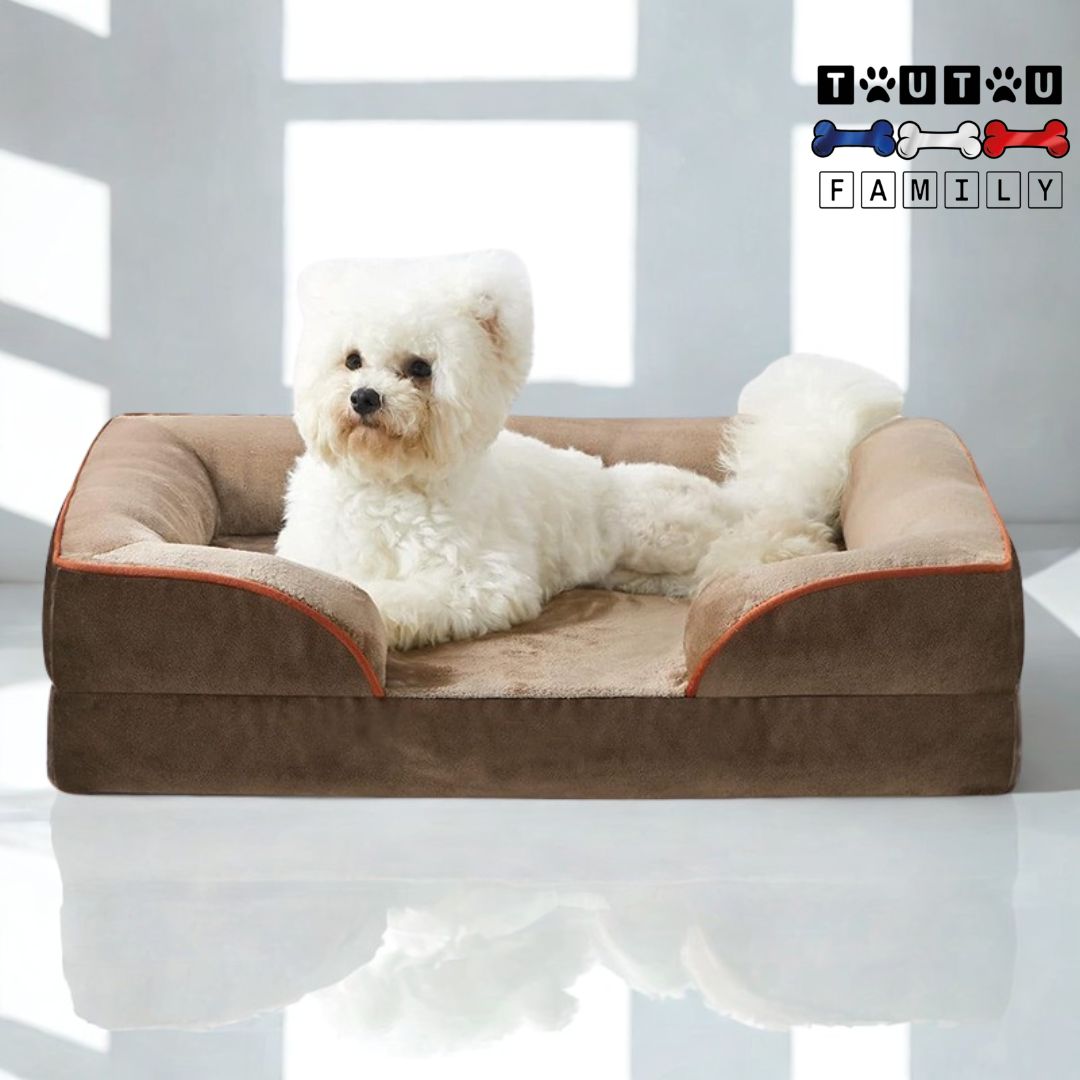 Panier-orthopedique-chien-avec-traversin-un-coton-de-tuléar-couché-confortablement-de-tout-son-long-dans-son-panier-en-flanelle-déhoussable-et-lavable-avec-son-traversin-intégré-100%-coton-de-couleur-marron