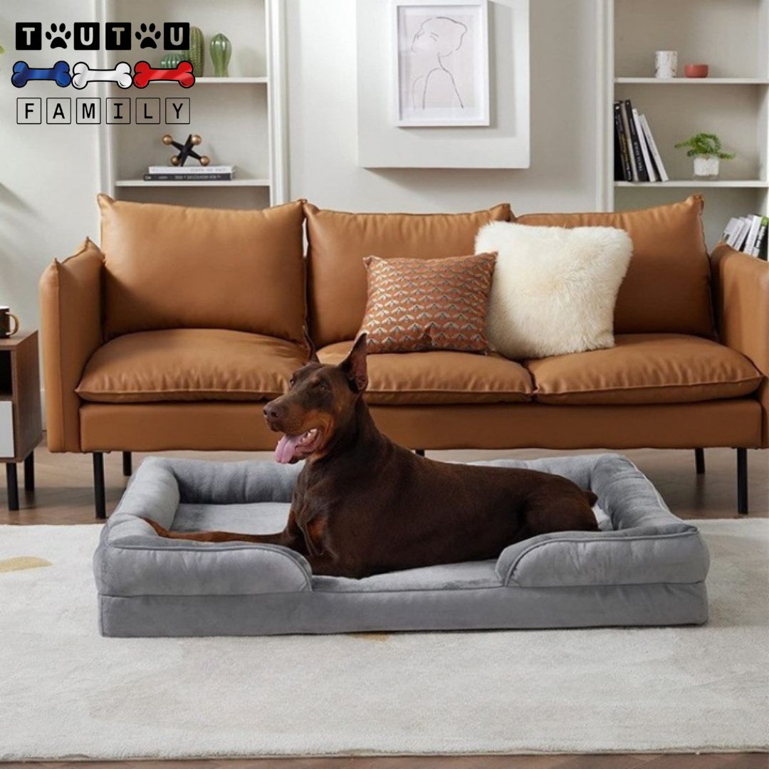 Panier-orthopédique-chien-lavable-un-grand-chien-couché-dans-son-panier-de-couleur-grise-déhoussable-avec-traversin-sur-les-4-côtés-avec-ouverture-abaissé-pour-une-entrée-facile-toucher-velours