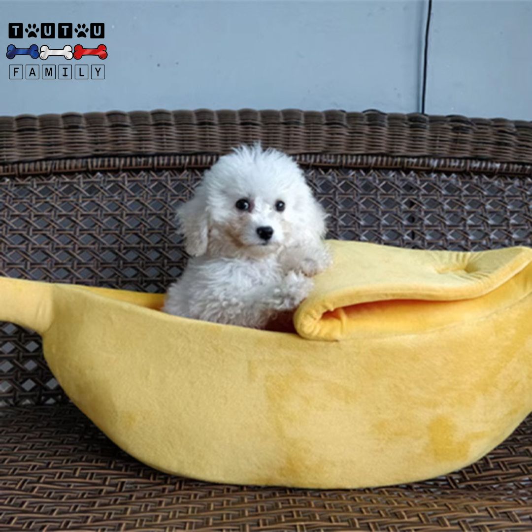 Panier petit chien - BananeToutou™