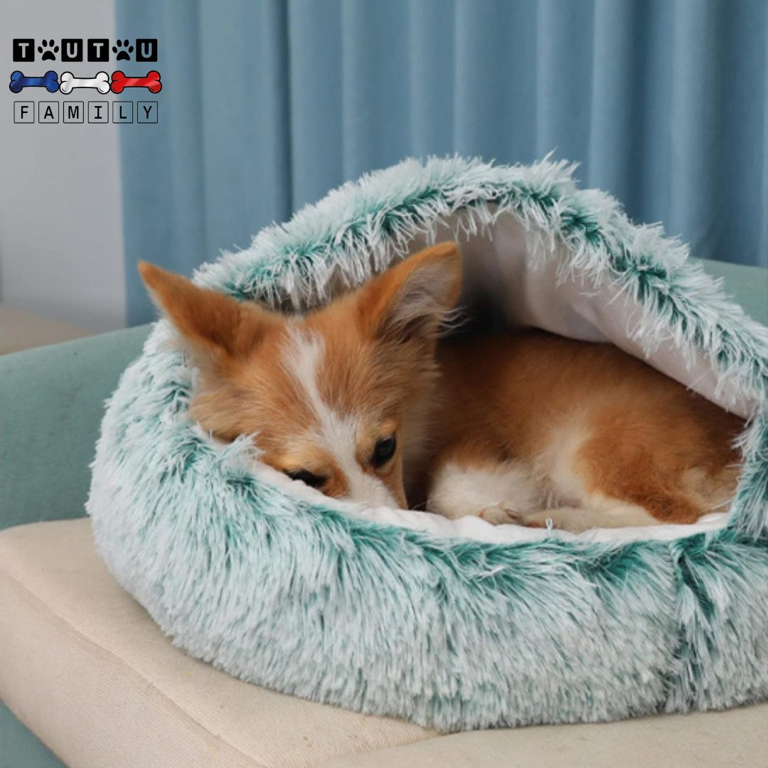 Panier-petit-chien-anti-stress-un-chien-de-petite-race-toy-qui-dort-couché-en-boule-dans-son-panier-en-forme-de-niche-douillet-confortable-ergonomique-chaud-lavable-en-machine