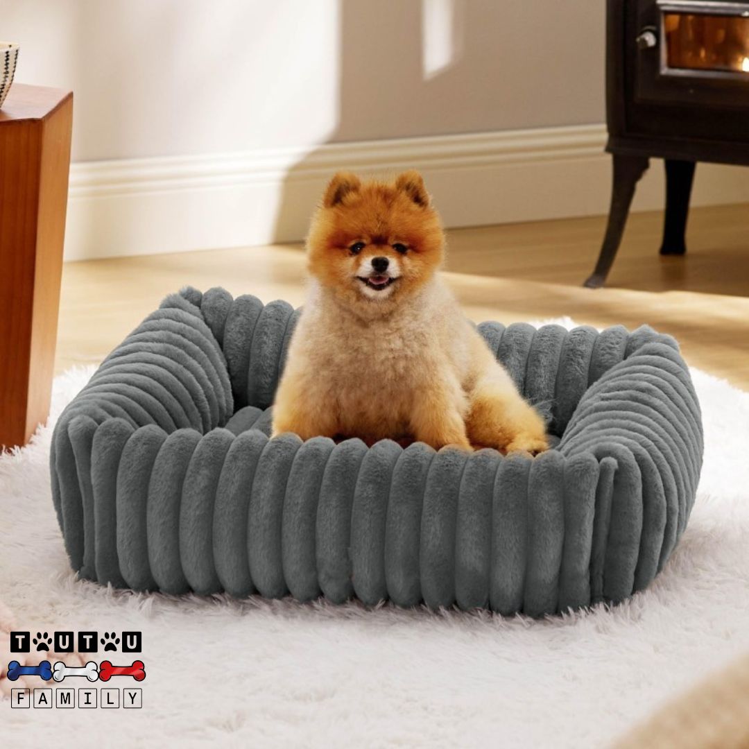 panier-petit-chien-lit-un-chiot-assis-dans-son-panier-de-couleur-gris-de-forme-rectangulaire-avec-coussin-entourant-sur-360°-pour-un-ffet-panier-anti-anxité-et-sécurisant-fond-antidérapant