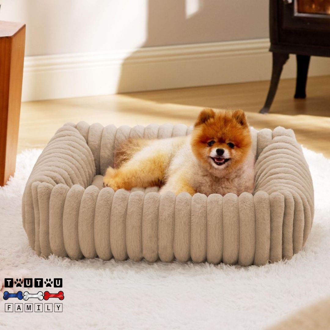 panier-petit-chien-coussin-enveloppant-avec-rebord-surélevé-rectangulaire-un-chiot-chowchow-couché-dans-son-panier-de-couleur-marron-glacé-dans-le-salon-cosy
