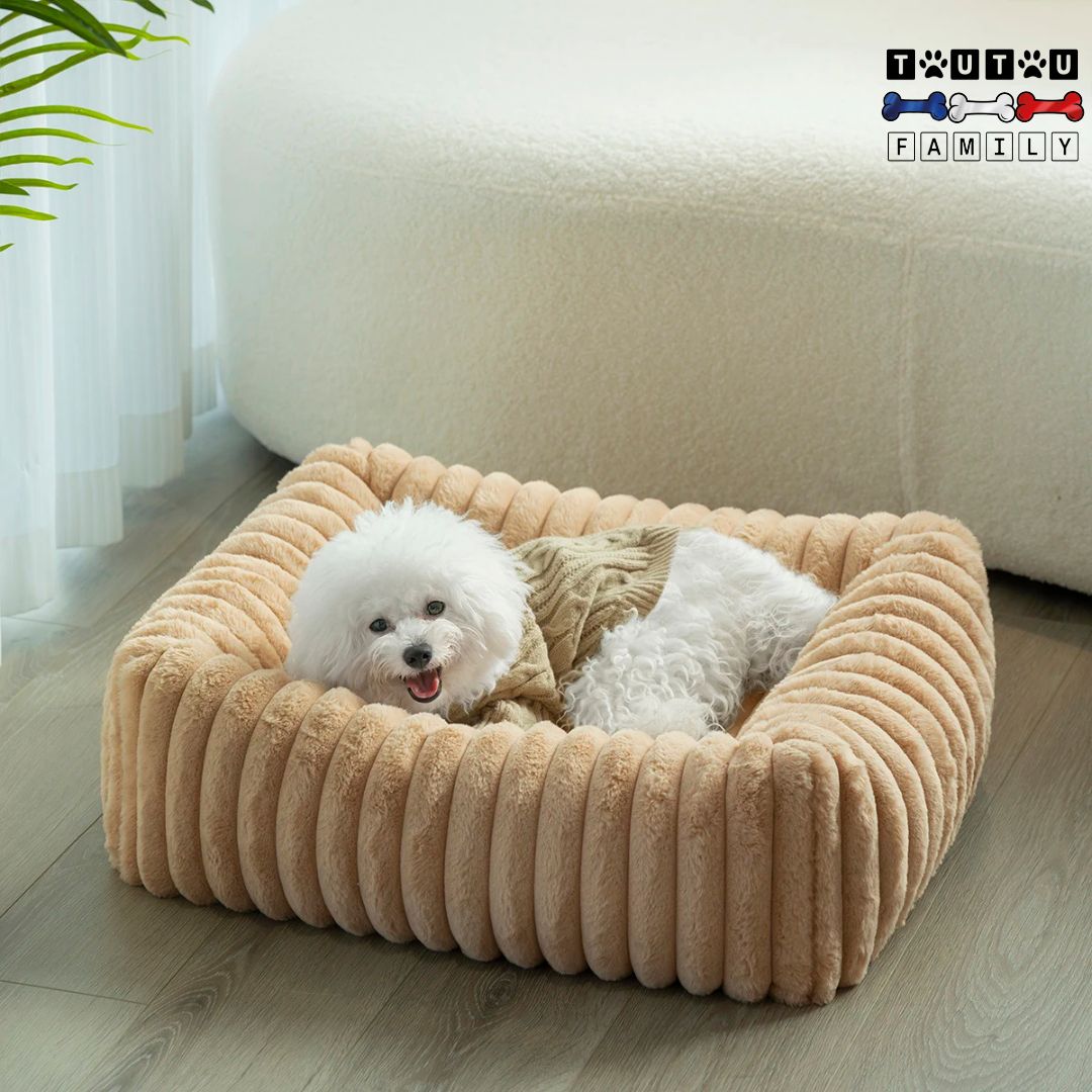 panier-petit-chien-marron-glace-un-caniche-nain-couché-en-boule-dans-son-panier-de-couleur-marron-beige-au-chaud-à -l-abri-des-courants-d-air-avec-ses-rebords-suréleves