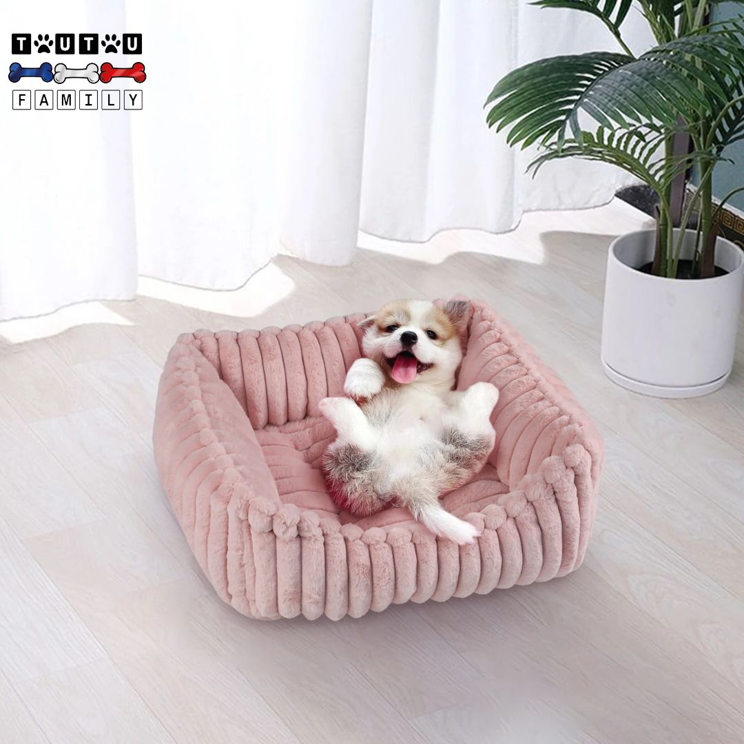 panier-petit-chien-épais-durable-un-petit-chien-sur-le-dos-les-pattes-en-l-air-dans-son-panier-doux-de-couleur-rose-dans-le-salon