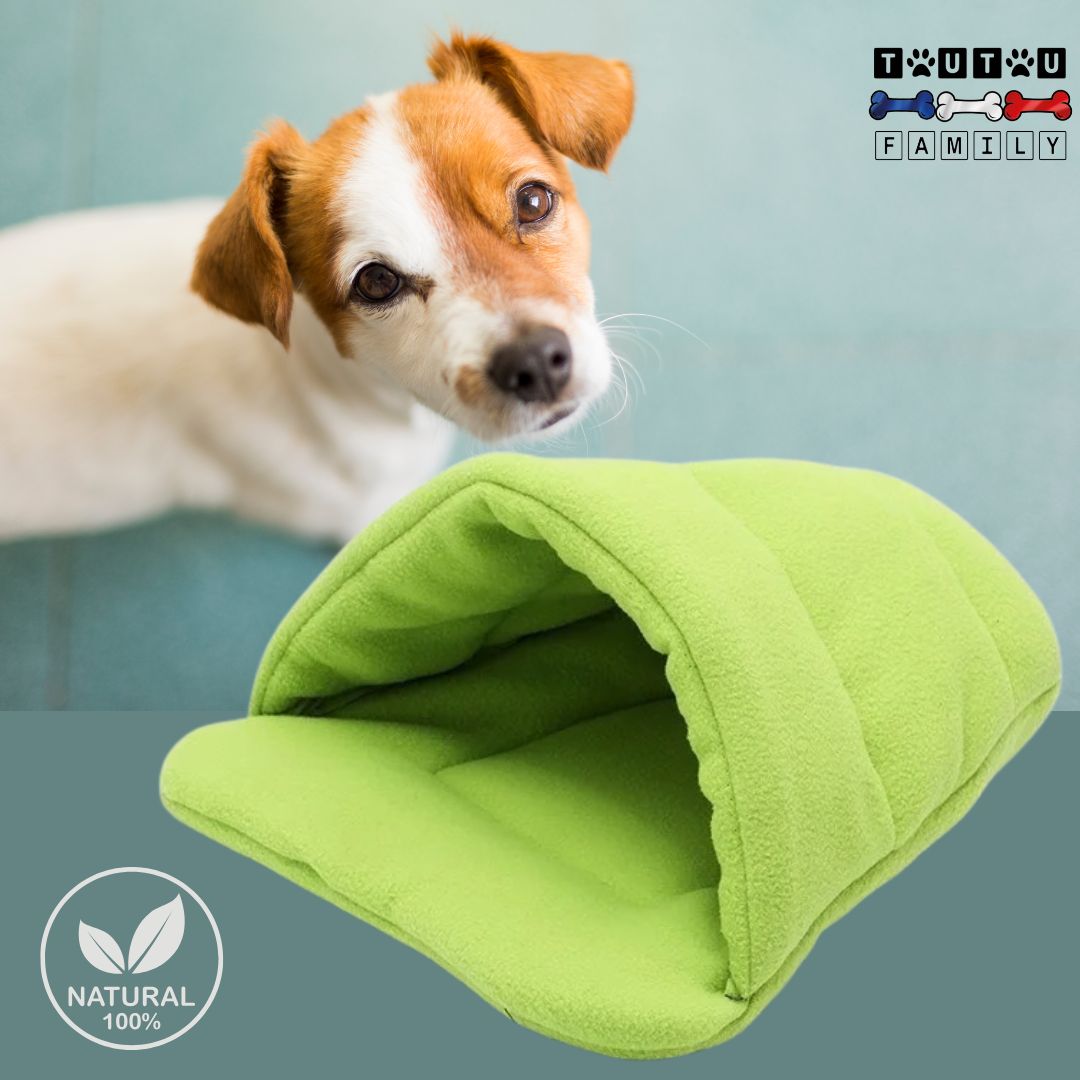 Panier-pour-chien-anti-stress-vert-un-chiot-jack-russel-avec-son-panier-en-forme-de-niche-chaud-et-confortable-pour-chien-de-très-petite-taille